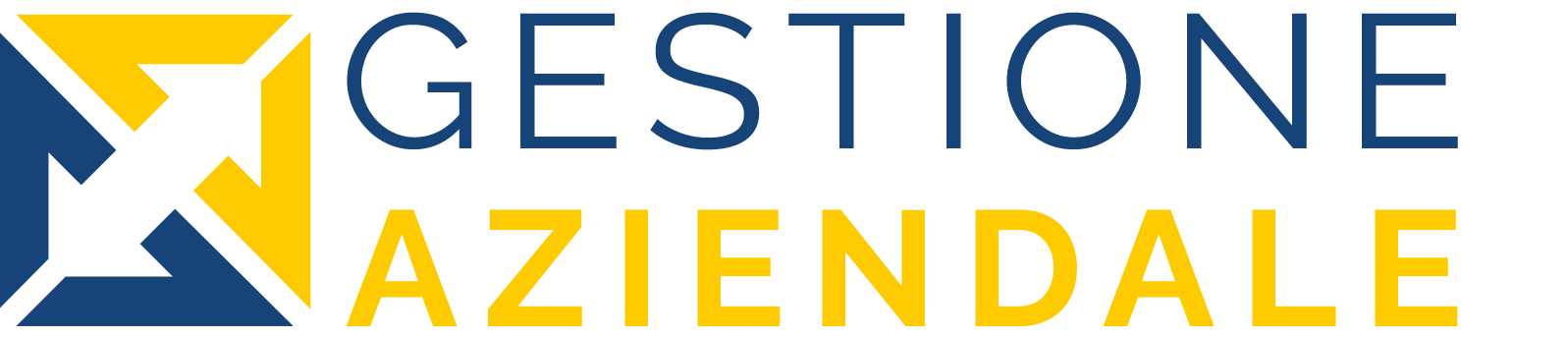 gestioneaziendale.info